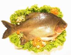 Can vitiligo patients eat fish ?